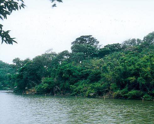 哈达河水库风景区