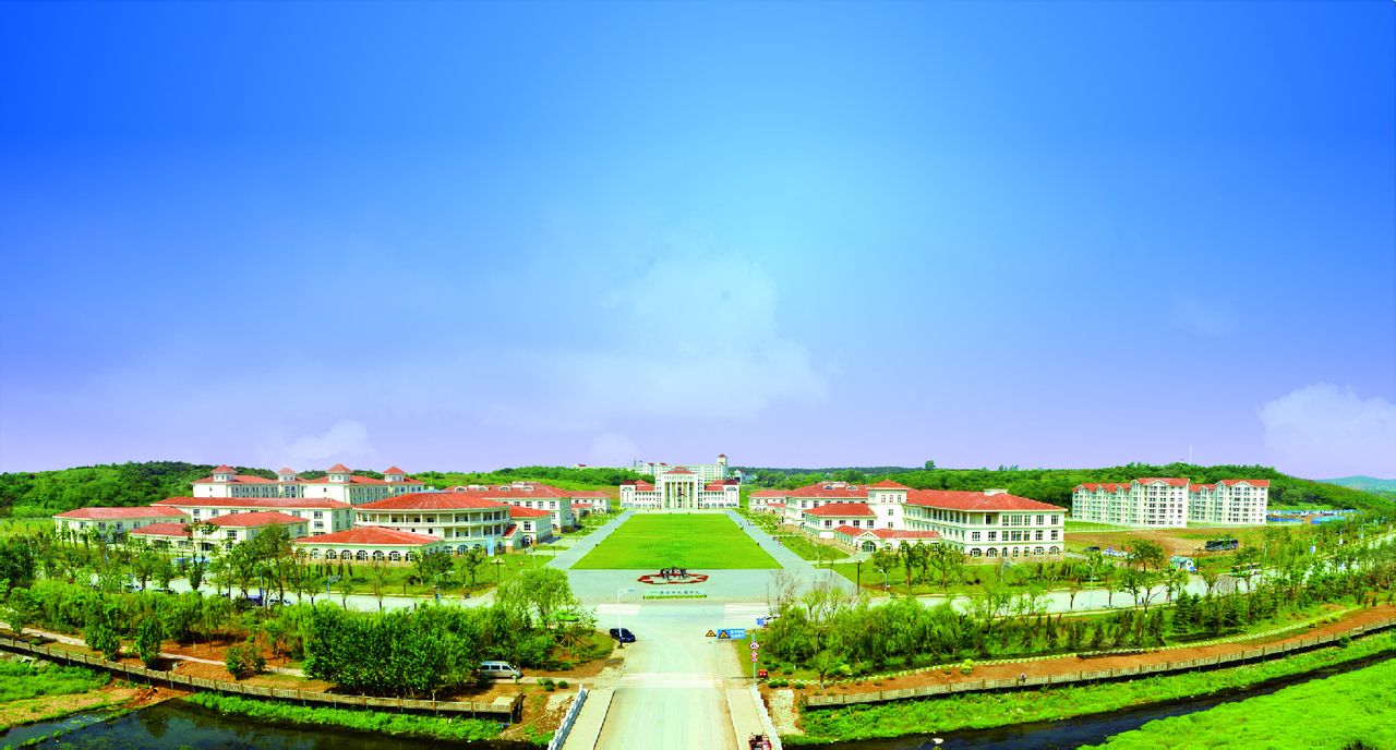  p> span class="ref" data-ctrid="sfevhtjgsmwq">辽宁何氏医学院( 