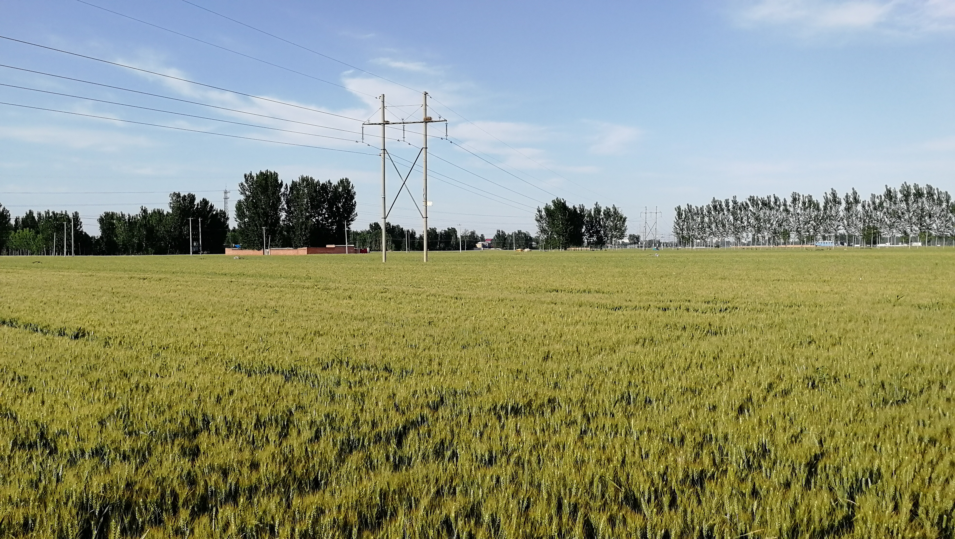  p data-id="gns0kvkoo8">田野,汉语词语,读音:tián yě,意思指田地