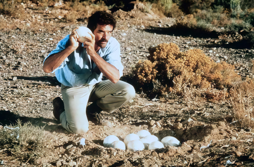 《上帝也疯狂2》剧照