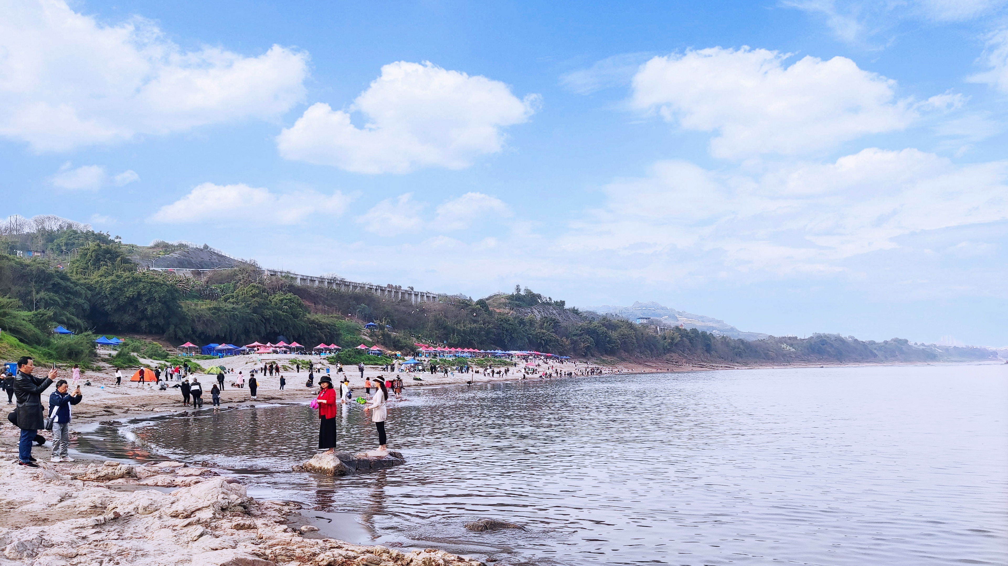 "/item/重庆市/436625" data-lemmaid="436625">重庆市 /a>大渡口区 a