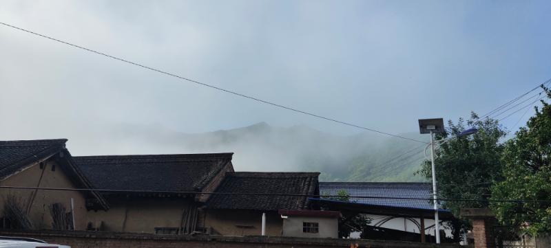 崔坝村