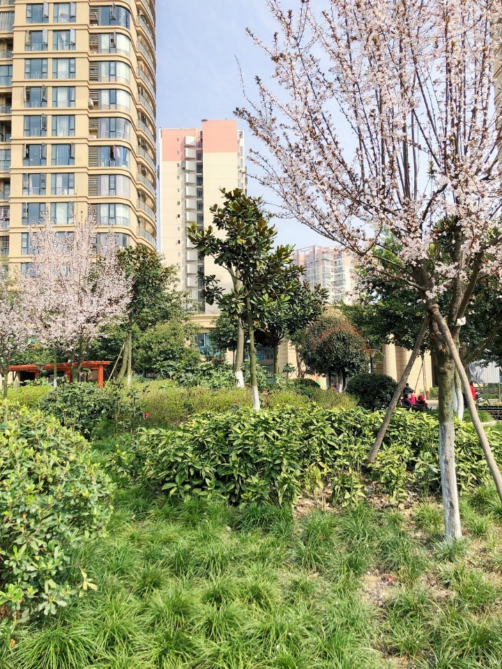  p>西河镇开新家园a区位于成都市龙泉驿十陵,共计房屋1914户. /p>