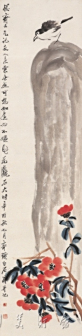 茶花小鸟