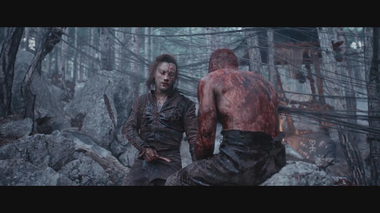 塞西亚:复仇之剑