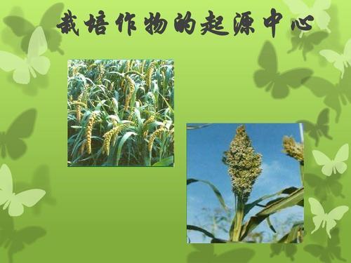 栽培植物起源中心说 百度百科