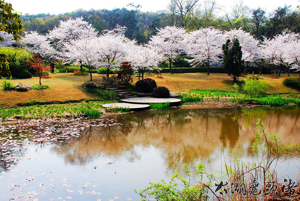无锡市鼋头渚景区