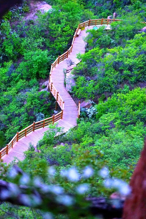  p data-id="gnx3pbb74k">绿岛森林公园坐落在有"东方鲁尔"之称的沈阳