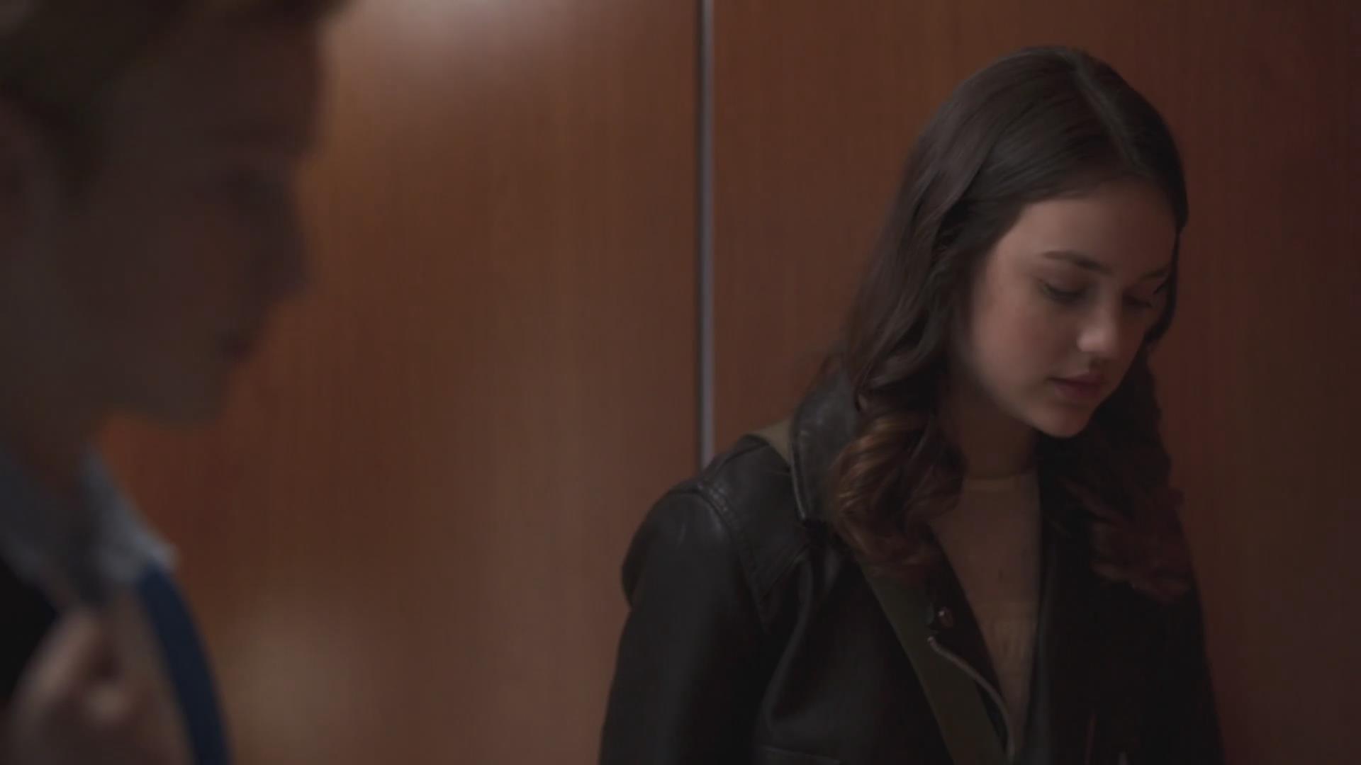 猫狗大战3:爪爪集结!