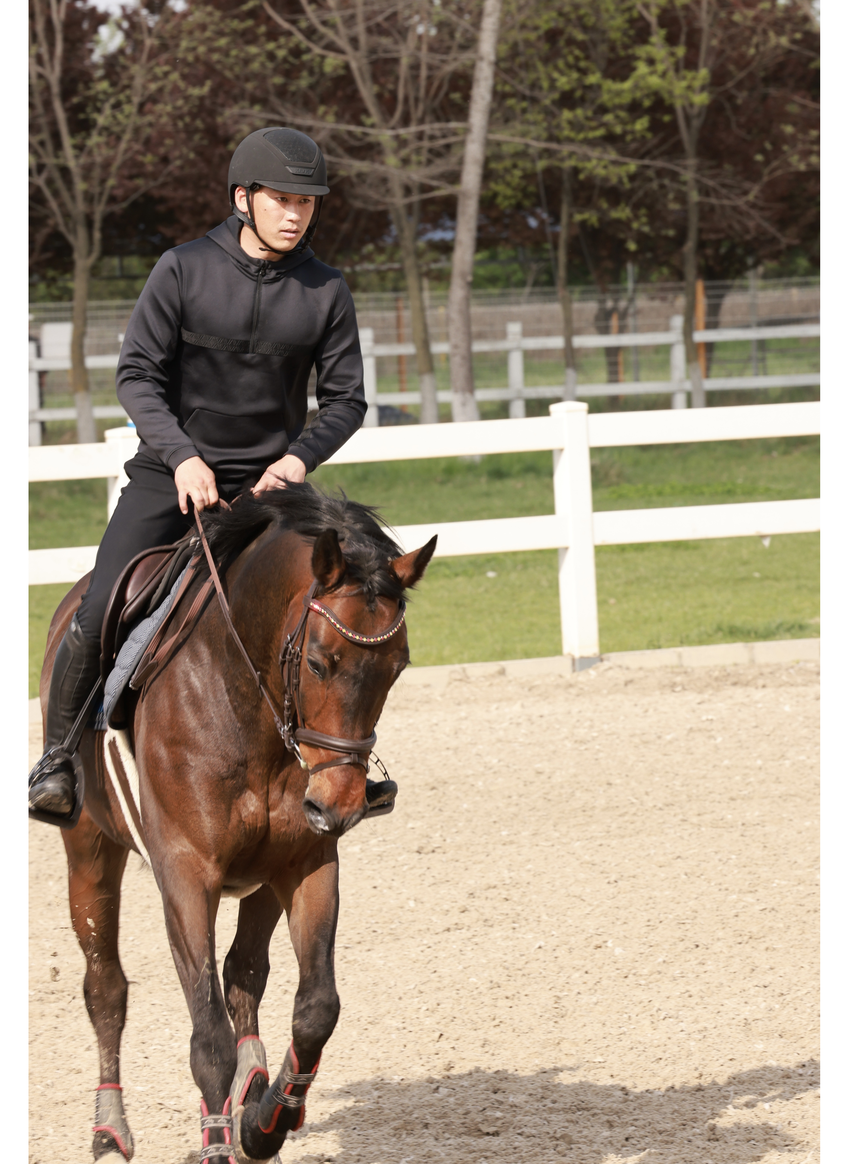 孟和巴图,中国马术运动员.