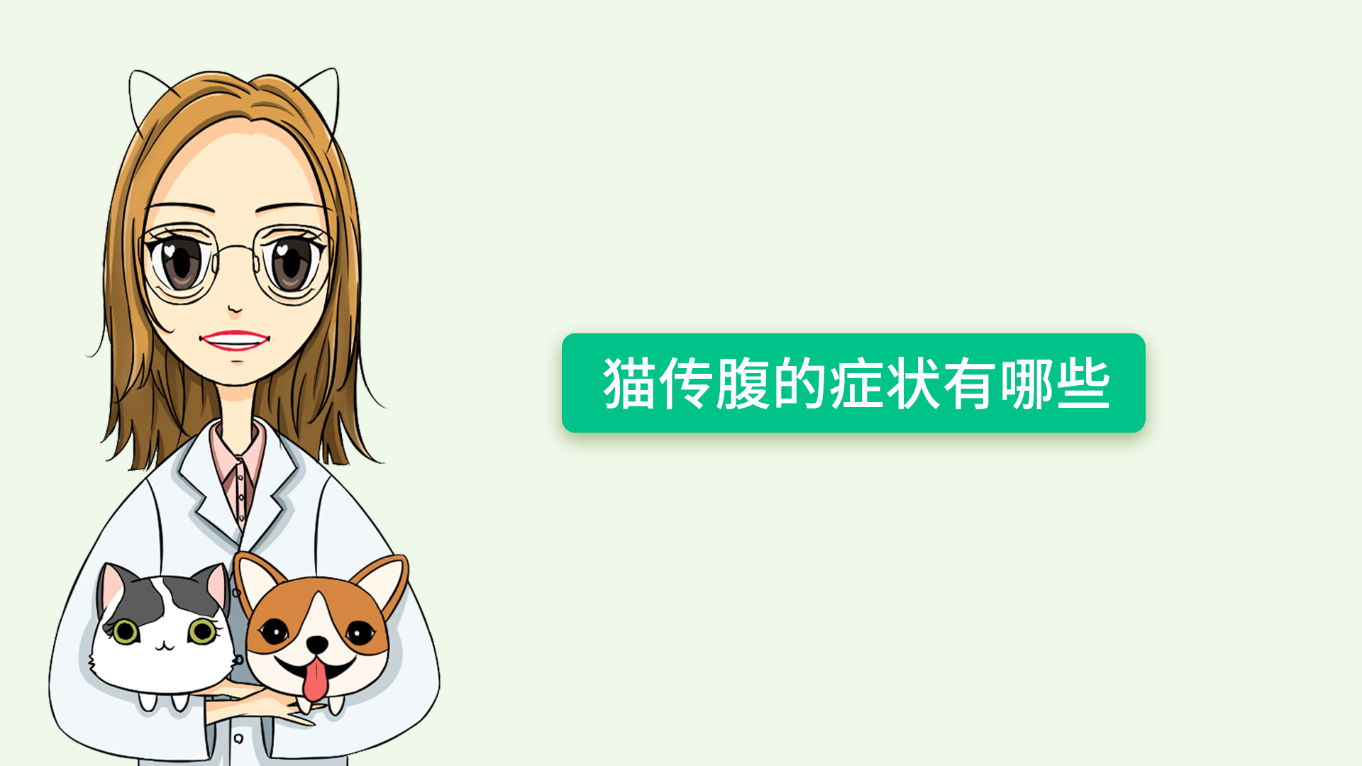 猫传腹死亡率高达95%!快看看都有哪些症状!
