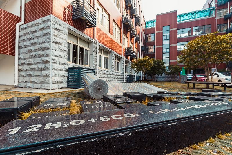  p data-id="gnbpf10zmq">武汉市常青第一学校位于武汉市最大的居民