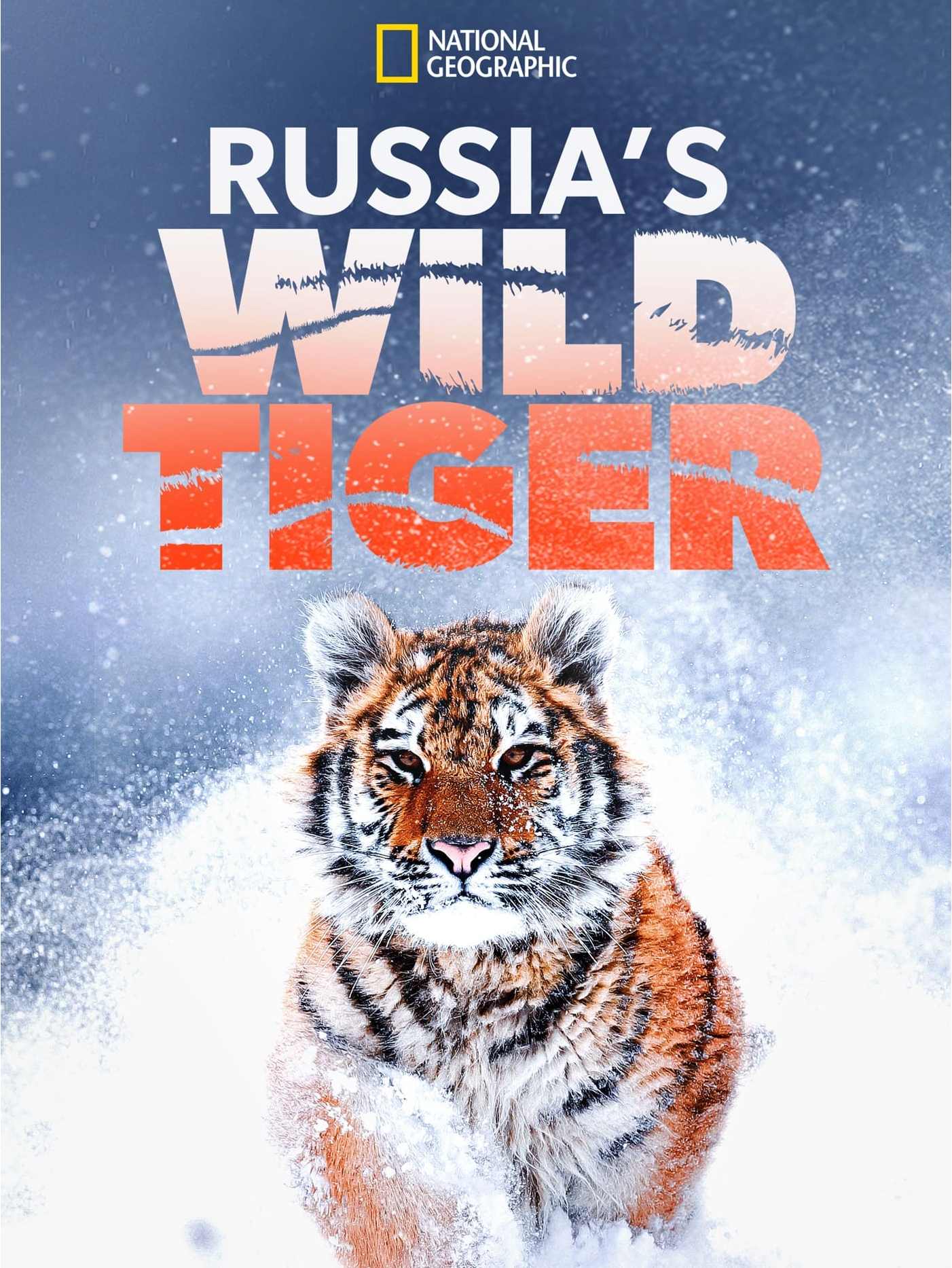 野生老虎》是franz hafner执导,salvatore vecchio解说的美国纪录片