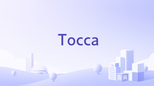Tocca_百度百科