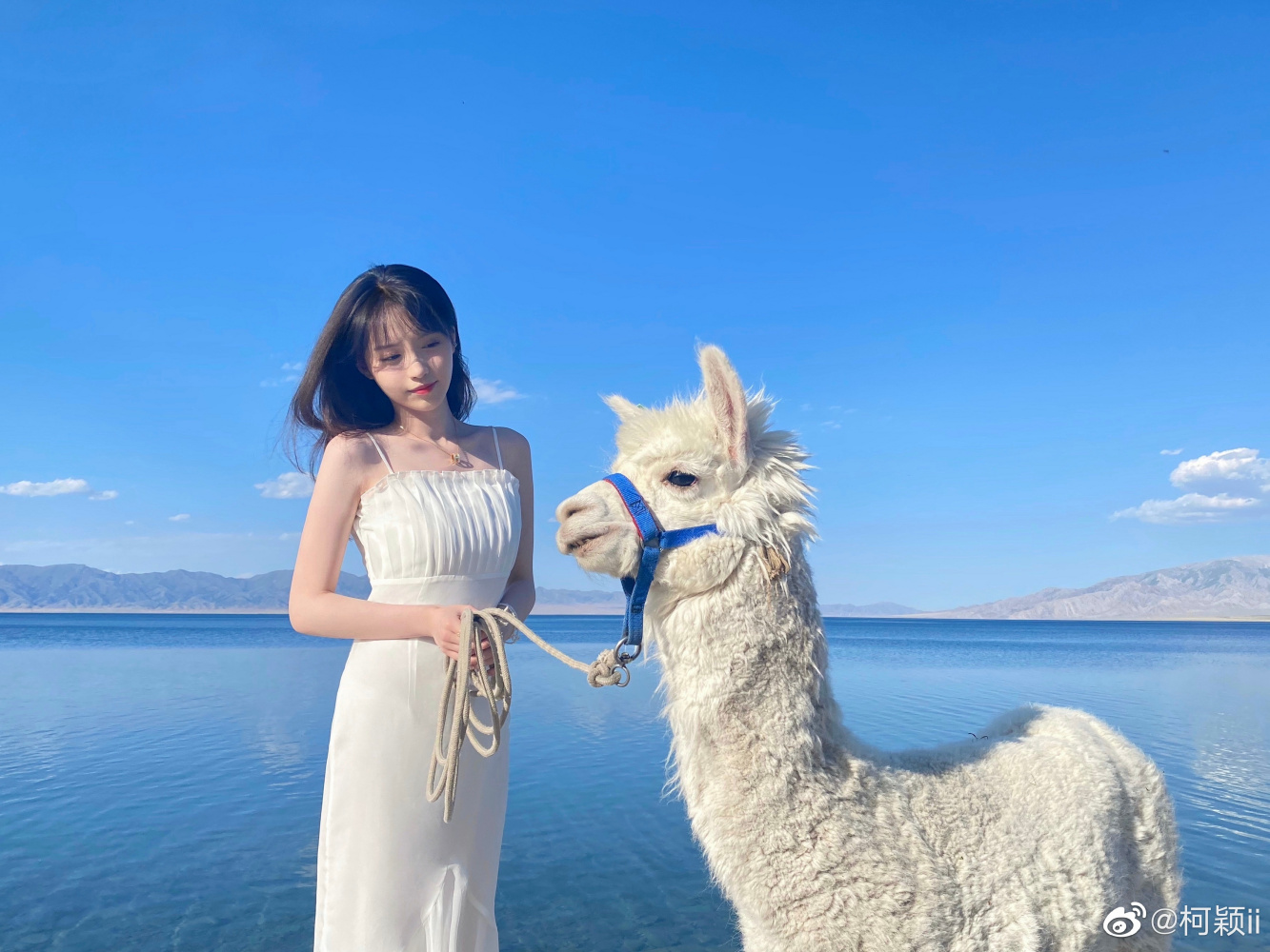 柯颖（中国内地女演员）_百度百科