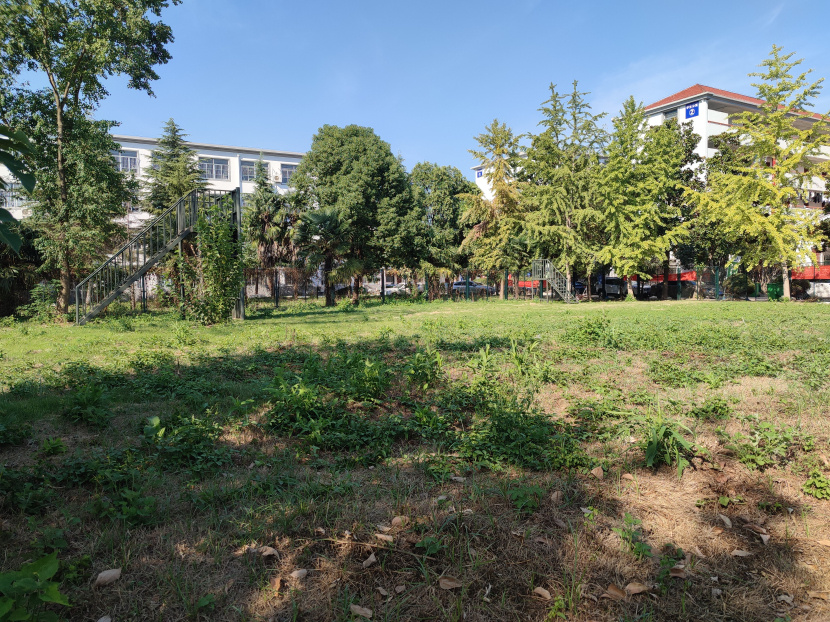 安徽明珠学校