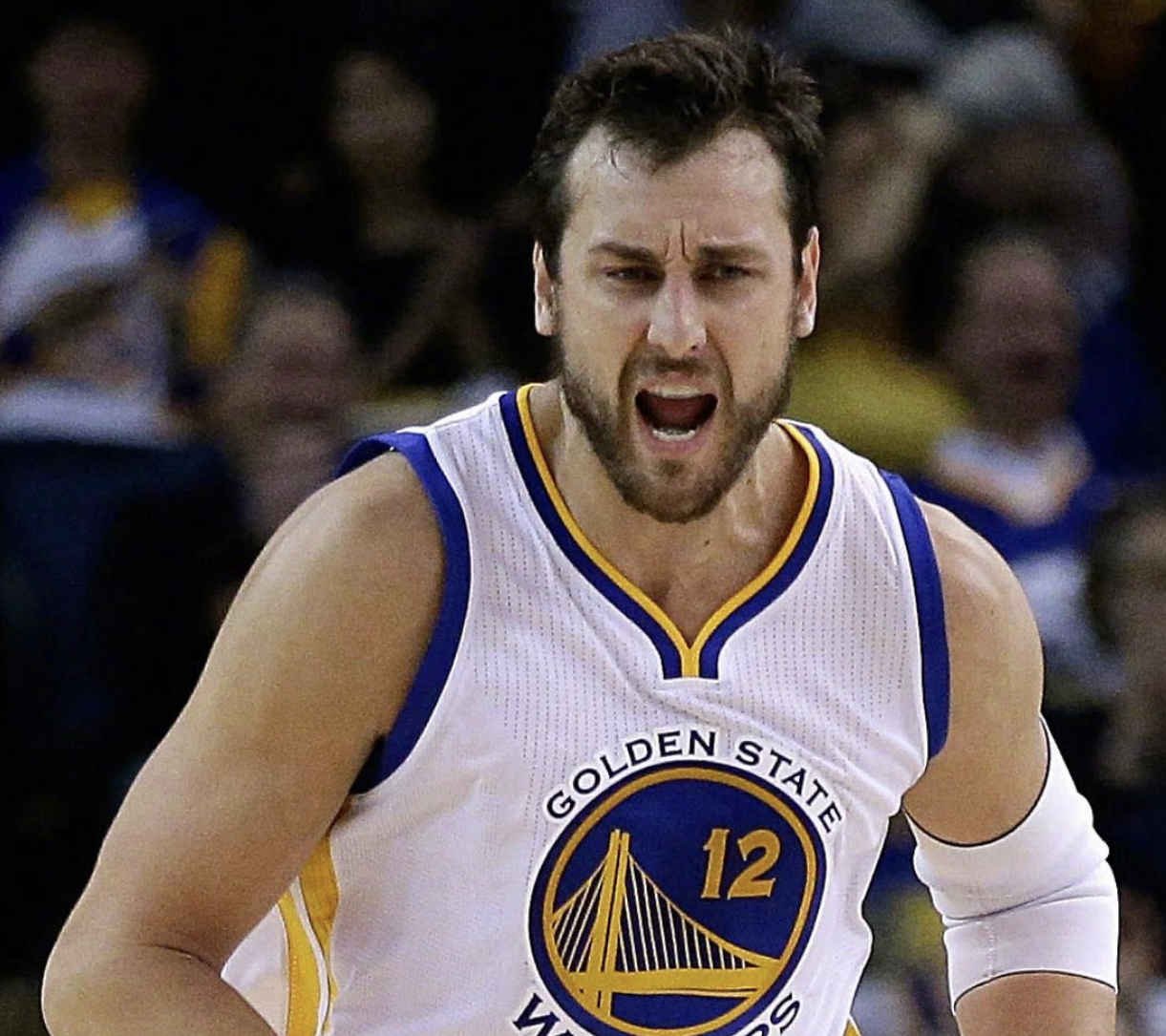 安德鲁·博古特