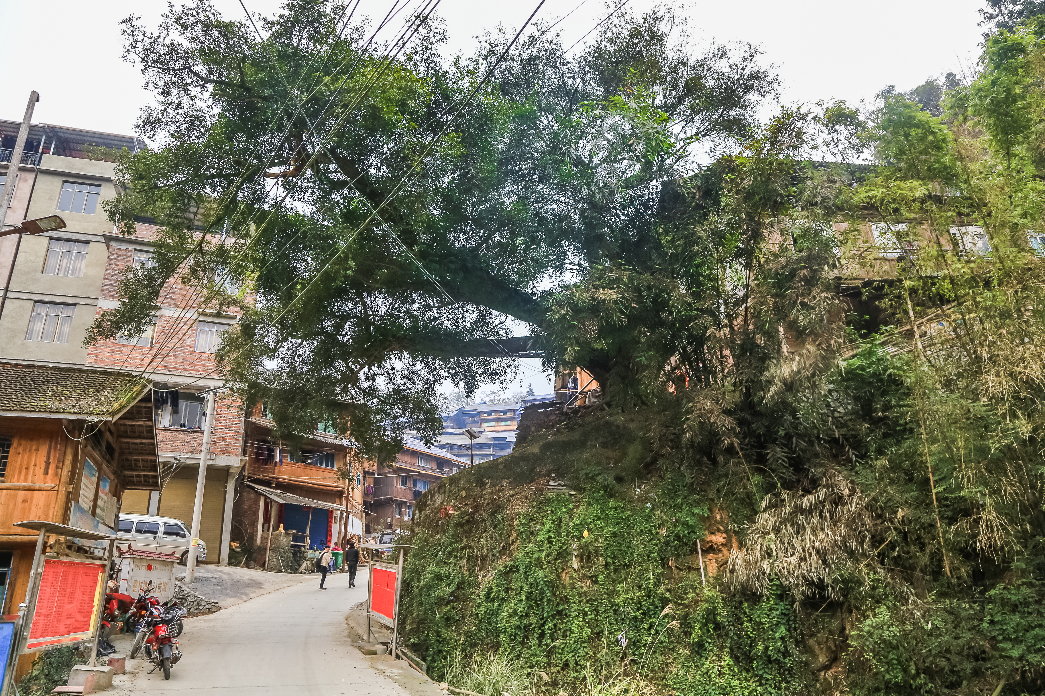  p>高青村,贵州省 a target="_blank" href="/item/黔东南苗族侗族