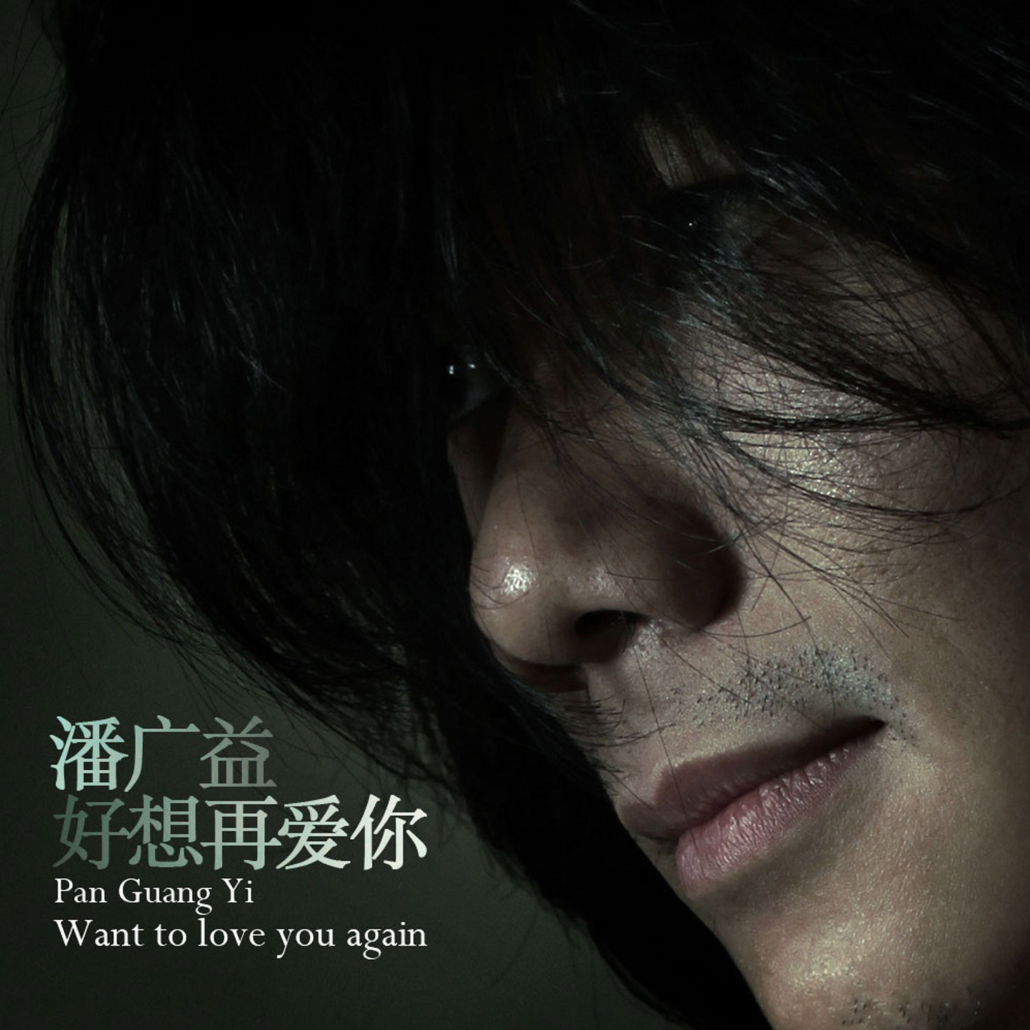  p data-id="gnwnend6ix">《好想再爱你》是潘广益演唱的歌曲,收录于