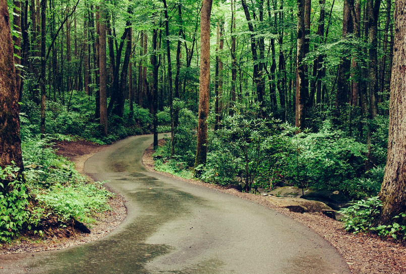appalachian national scenic trail