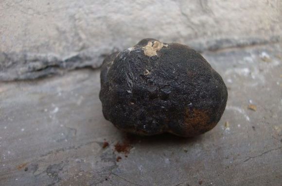  p>锰结核又称 a href="#" data-lemmaid="8569224">多金属结核 /a>