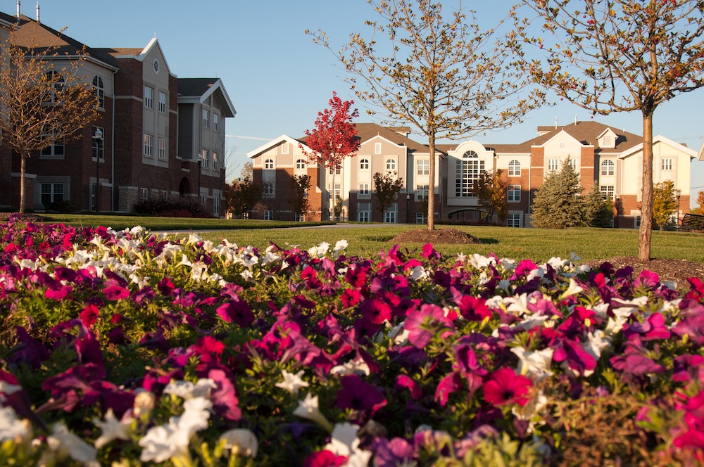 university of dayton