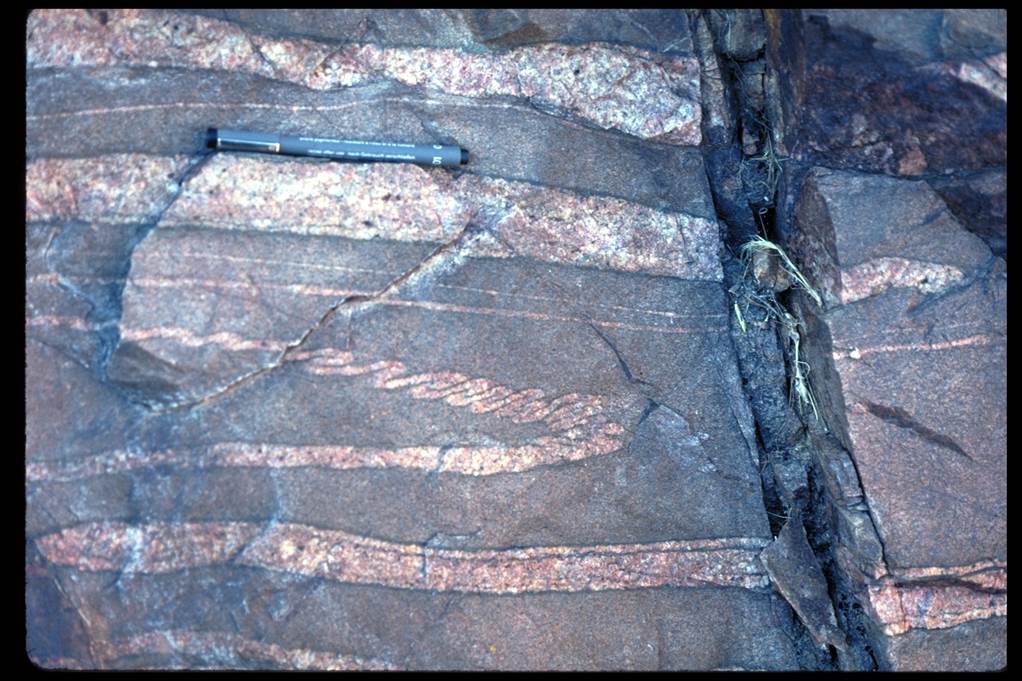 并特别是发育在 a target="_blank" href="/item/混合岩化作用