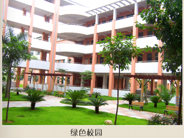  p>东莞市万江实验小学位于万江坝新路旁,在万江区党委,区办事处的