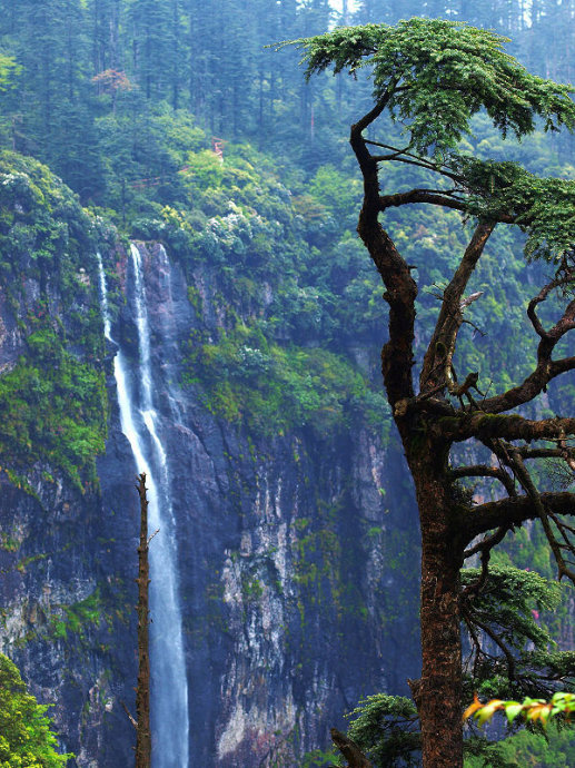 洪雅瓦屋山