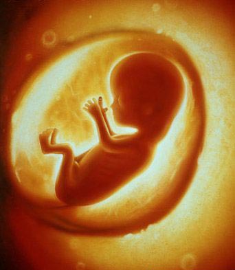 382339" data-lemmaid="382339">人工流产 /a>,导致胎儿死亡的行为