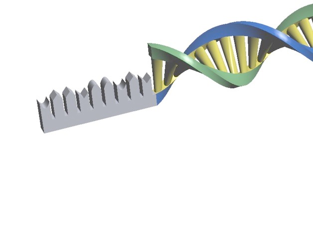  p>核糖体rna,即rrna,是细胞内含量最多的一类 a target="_blank"