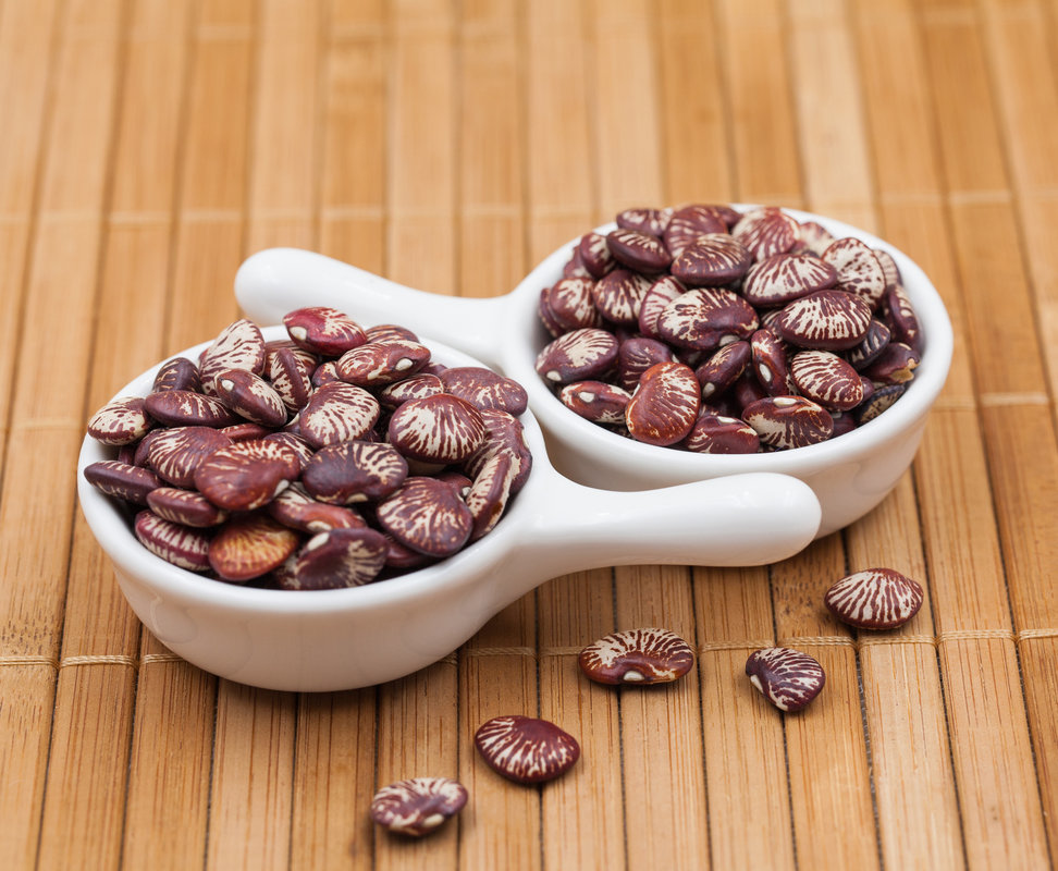  p>荷包豆(学名: i>phaseolus coccineus /i> linn.