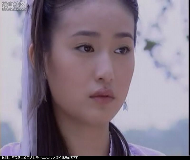 杨不悔