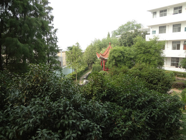  p>江西省鄱阳中学始创于1902年,学校坐落在风景秀丽的 a href="#"