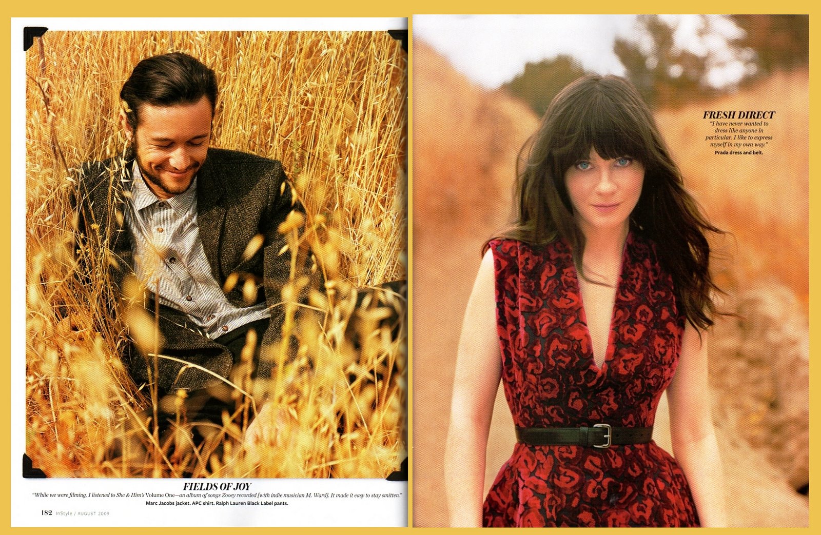 约瑟夫·高登-莱维特