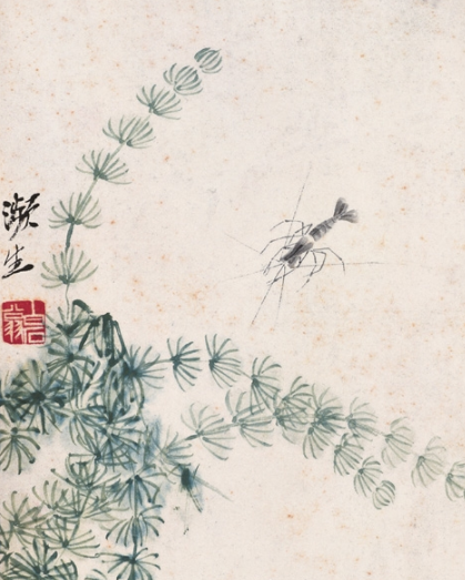 水草小虾