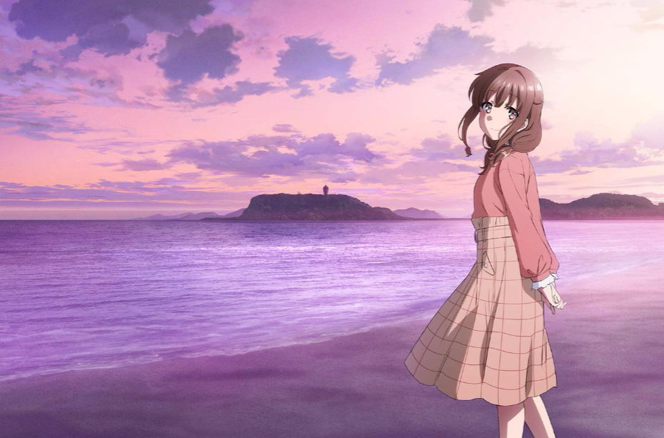  p>梓川花枫,女,日本轻小说《 a target="_blank" href="/item/青春