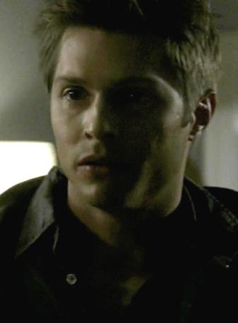 吸血鬼日记第八季