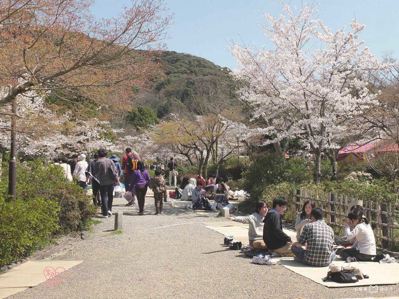 9mb">圆山公园位于日本<a target="