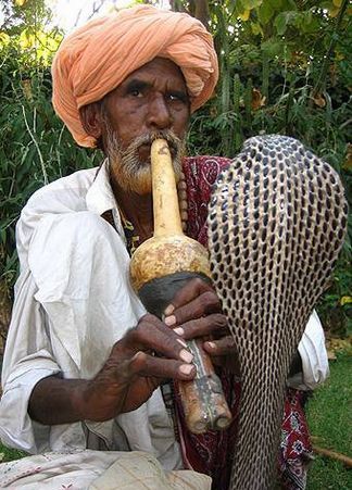  p>蛇人是南亚次大陆上一个古老而奇特的群体,他们