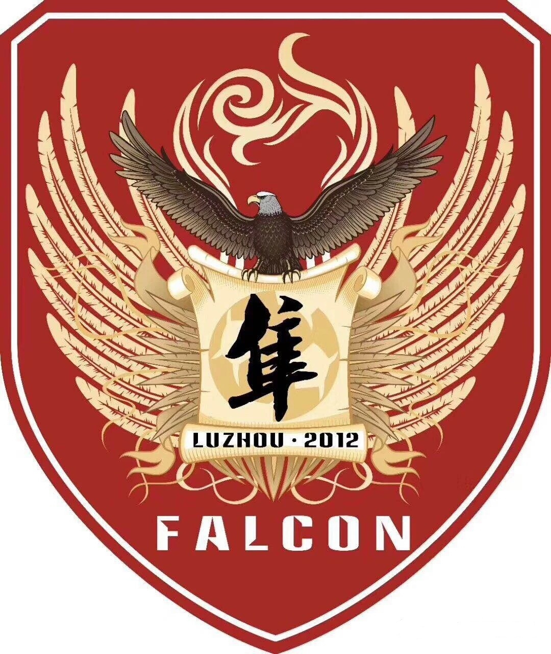 其中预赛阶段为会员协会省市联赛,由中国足协指导,地方会员协会主办