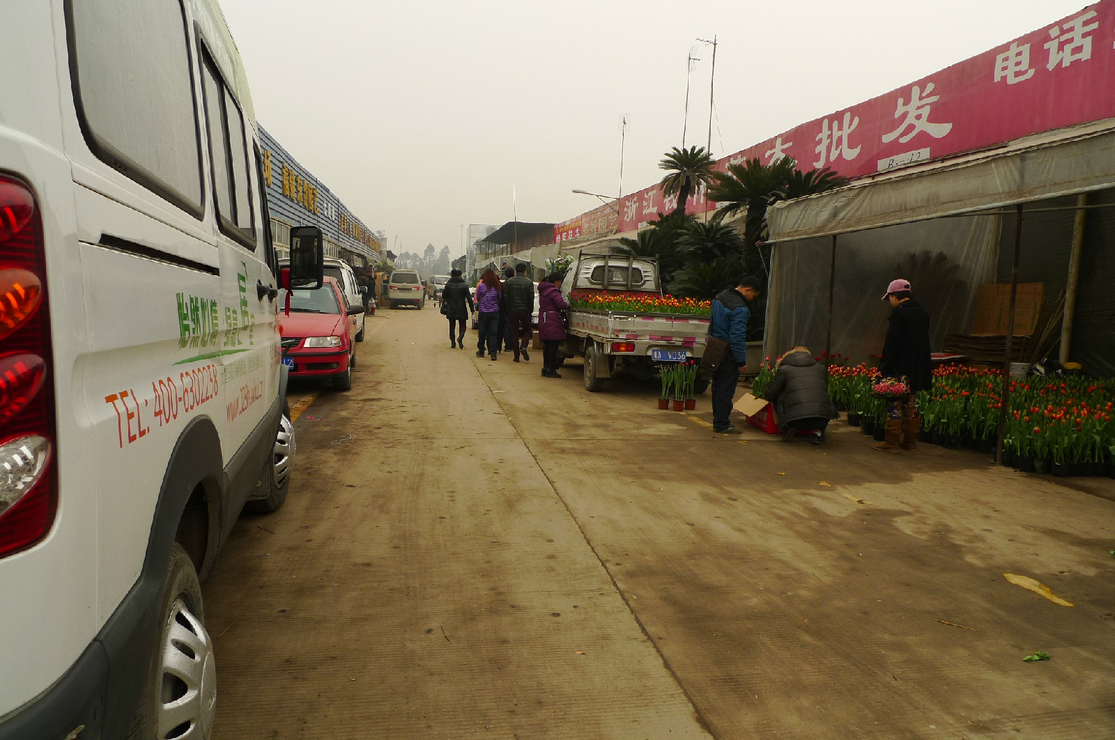 成都市金林湾花木交易市场