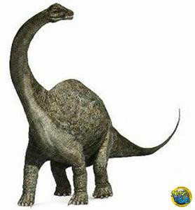 北极龙(arctosaurus)