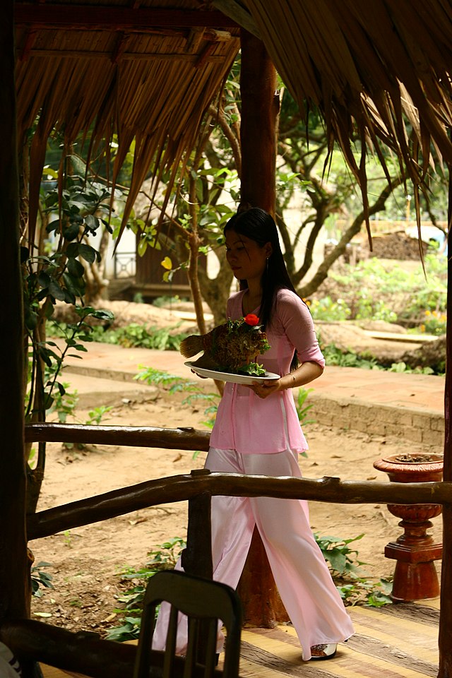 音译为"奥霸芭",又可称作越南丝制装,是越南南方传统服饰,常见于南越