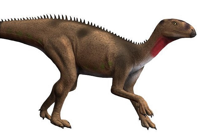皮萨诺龙(pisanosaurus)