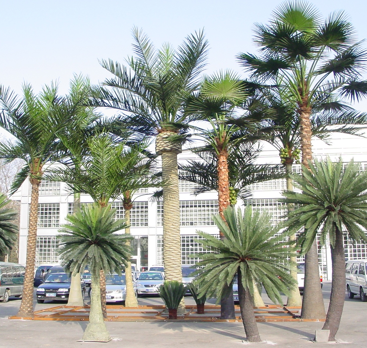 广州松涛工艺仿真树有限公司