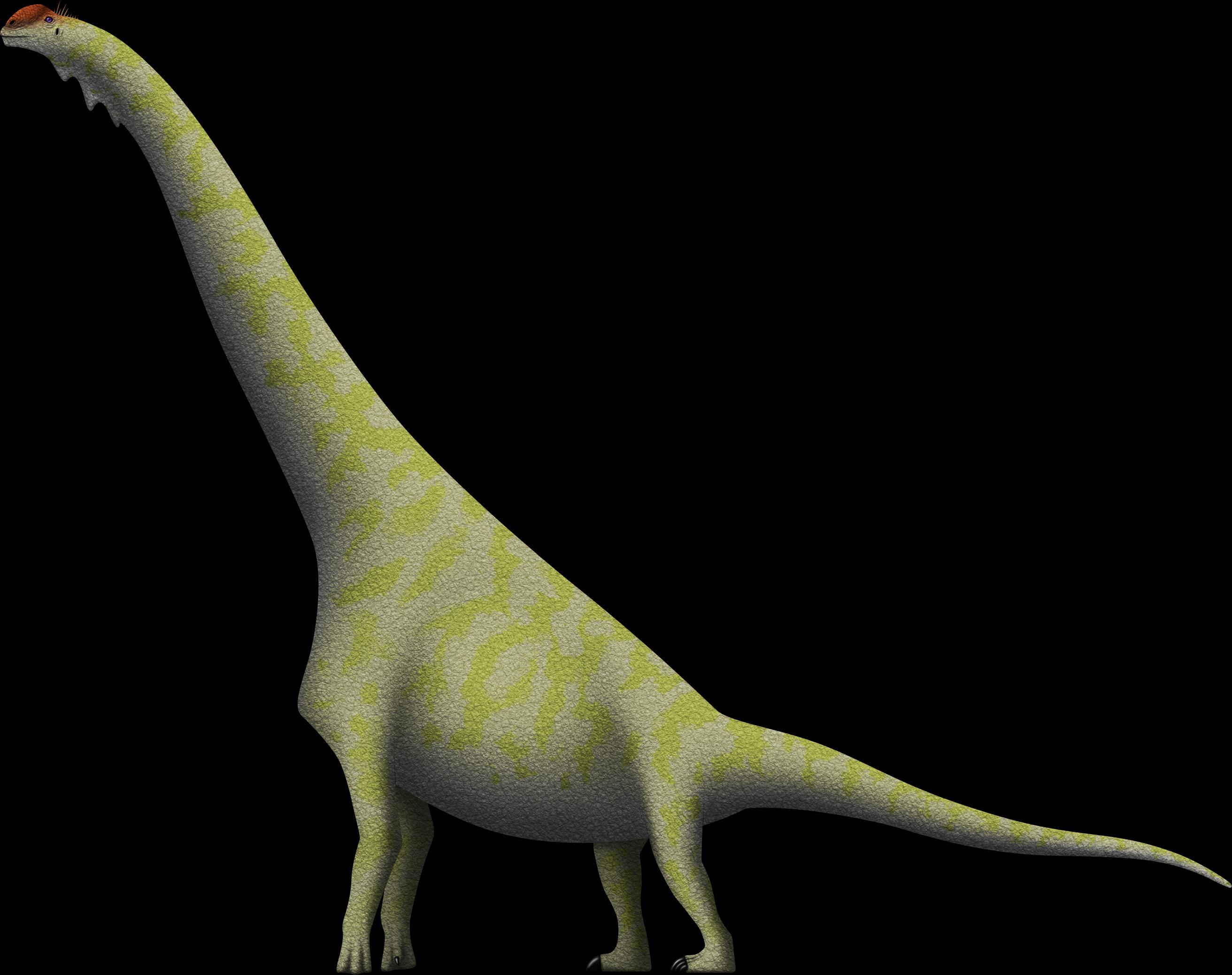  p data-id="tir0ddpzvevz">腕龙是侏罗纪时期"腕龙属"恐龙的统称.