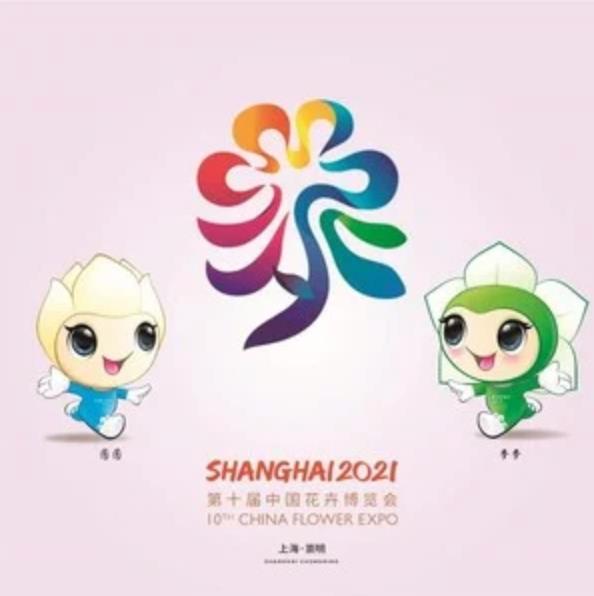 第十届花博会上海崇明