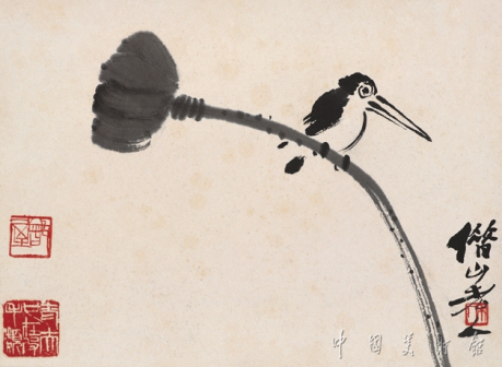 莲蓬翠鸟