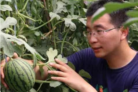 2012年回乡创业成立 a target="_blank" href="/item/北京密农人家